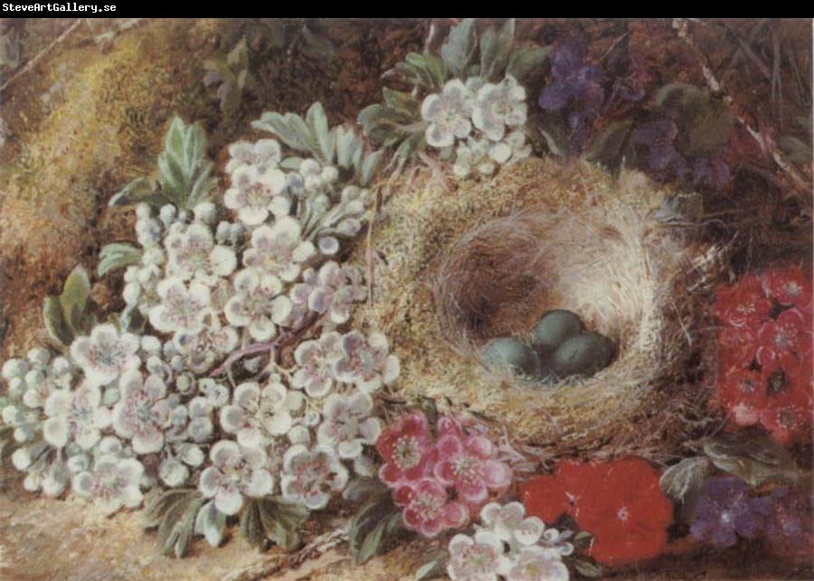 Clare George Bird-s Nest Still Life